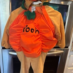 Disney Whinnie the Pooh pumpkin costume